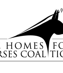 Standing Ovation by Ovation Riding: The Homes For Horses Coalition