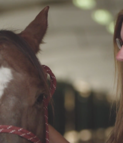 Standing Ovation by Ovation Riding: The Right Horse Initiative