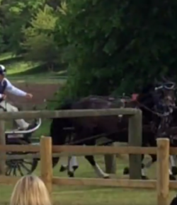 SpectraVET Performance: Boyd Exell Wins At Windsor