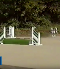 SmartPak Monday Morning Feed: Ask a Non-Rider