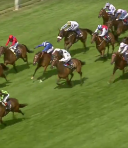 SpectraVET Performance of the Week: Globe-Trotting Lady Aurelia Wins at Royal Ascot