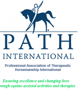 Standing Ovation by Ovation Riding