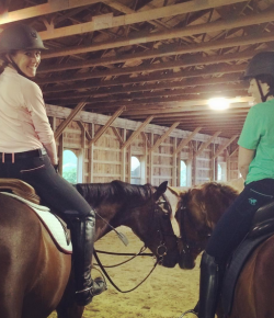 SmartPak Monday Morning Feed: #PiperPals