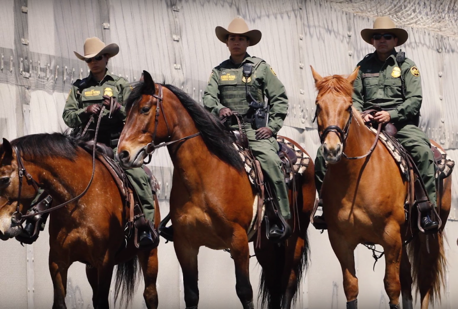 TBT Mustangs on the Job US Border Patrol HORSE NATION
