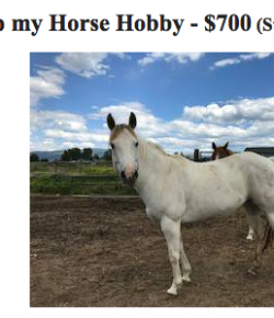 Best of Craigslist, Volume 53