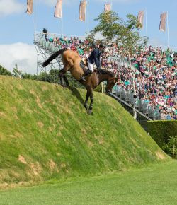 SpectraVET Performance of the Week