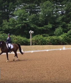 SmartPak Monday Morning Feed: Ask a Non-Rider, Dressage Part 2