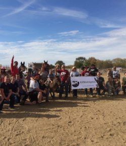 Standing Ovation by Ovation Riding: Mea Ola’s Place