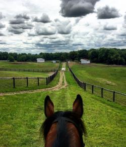 Photo Challenge: 3 Perfect Spots to Gallop