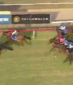 SpectraVET Performance: Horsey McHorseface Wins