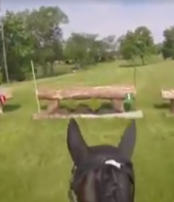 World Equestrian Brands Helmet Cam: Meet Digby