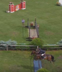 SpectraVET Performance of the Week: Richard Spooner & Cristallo Win Third Straight Nexen Derby