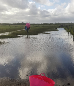 Photo Challenge: 4 Horses Facing Their Fears