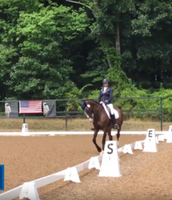 SmartPak Monday Morning Feed: Ask a Non-Rider, Dressage Edition