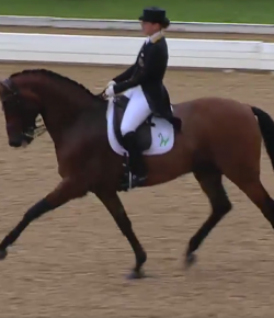SpectraVET Performance of the Week: Isabell Werth & Don Johnson