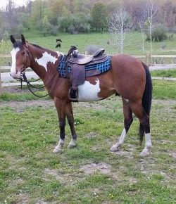 Actual Questions & Comments Entertained From Prospective Buyers