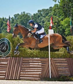 SpectraVET Performance of the Week: Jennie Brannigan & Cambalda Win Great Meadow