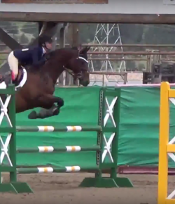 SmartPak Monday Morning Feed: Ask a Non-Rider, Jumpers Part 3