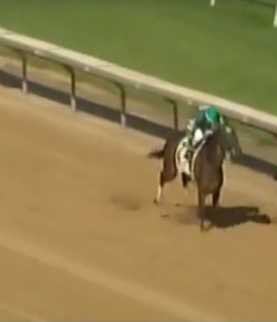 SpectraVET Performance of the Week: Songbird