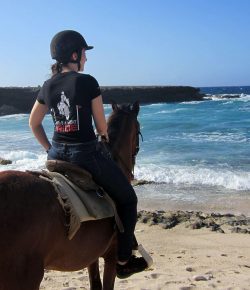 Photo Challenge: 10 Readers and Horses On the Beach