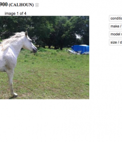 Best of Craigslist, Volume 54