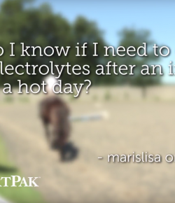 SmartPak Monday Morning Feed: Ask the Vet, July Edition