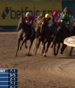 SpectraVET Performance of the Week: The Haskell