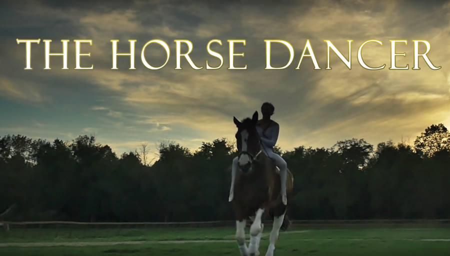 HN’s Drinking Game Guide to New Netflix Movie ‘The Horse Dancer