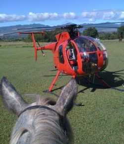 Photo Challenge: 21 Things That Should Be Scary…