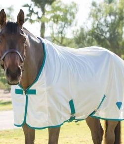 SmartPak Monday Morning Feed