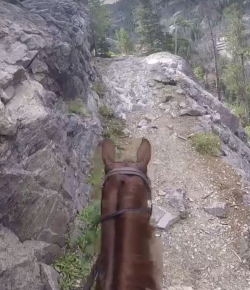 World Equestrian Brands HC: Don’t Look Down…