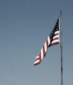 Standing Ovation by Ovation Riding