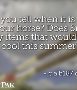 SmartPak Monday Morning Feed: Ask the Vet, August Edition