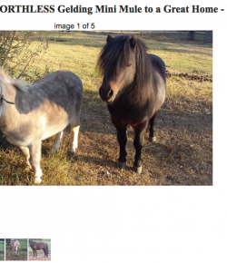 Best of Craigslist, Volume 55