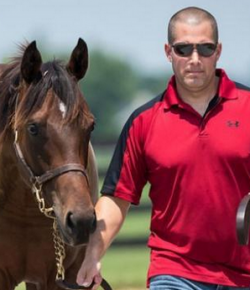 Standing Ovation by Ovation Riding