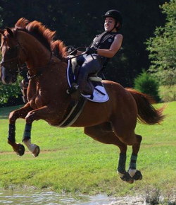 ‘Oh Crap’ Monday