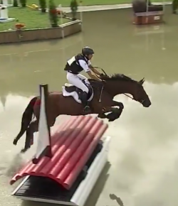 SpectraVET Performance of the Week