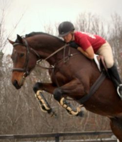 Your Turn: ‘They Will Mount Up With Wings Like Eagles’