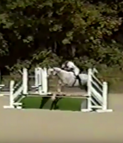 SmartPak Monday Morning Feed: Ask a Non-Rider, Jumpers Part 2