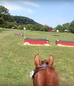 World Equestrian Brands Helmet Cam: Rune XC