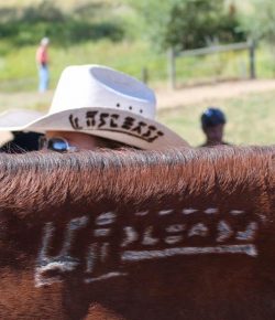 Photo Challenge: 22 Brands