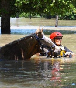 Standing Ovation by Ovation Riding: Horsemen Step Up to Help Hurricane Harvey Victims