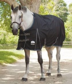 SmartPak Labor Day Feed: Labor Day Sale Going On Now!