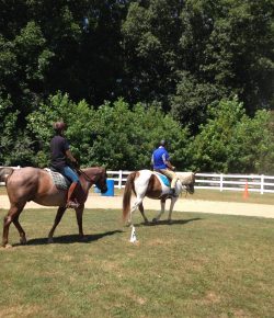 Standing Ovation by Ovation Riding