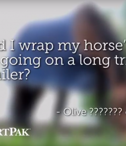 SmartPak Monday Morning Feed: Ask the Vet, September Edition