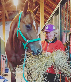 #horsenation ‘Grams of the Week