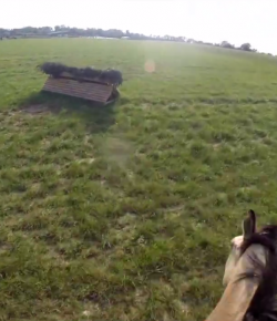 World Equestrian Brands Helmet Cam: Bridle-Free XC