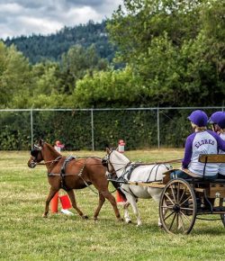 Photo Challenge: 9 Readers Rocking a Helmet