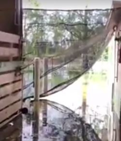 Standing Ovation by Ovation Riding: South Florida SPCA Needs Our Help