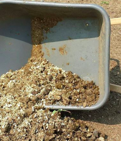 ‘Oh Crap’ Monday